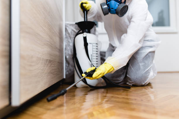 Best Affordable Pest Control Services  in Winooski, VT