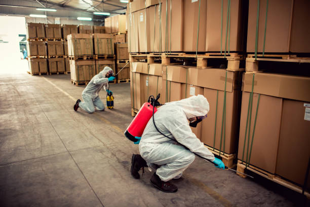 Best Cockroach Control Services  in Winooski, VT