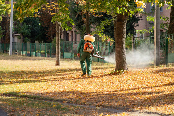 Best Best Pest Control Companies  in Winooski, VT