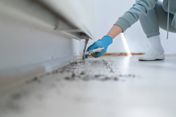 Wildlife Control Services in Winooski, VT